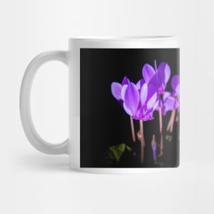 Cyclamen hederifolium flowering Mug